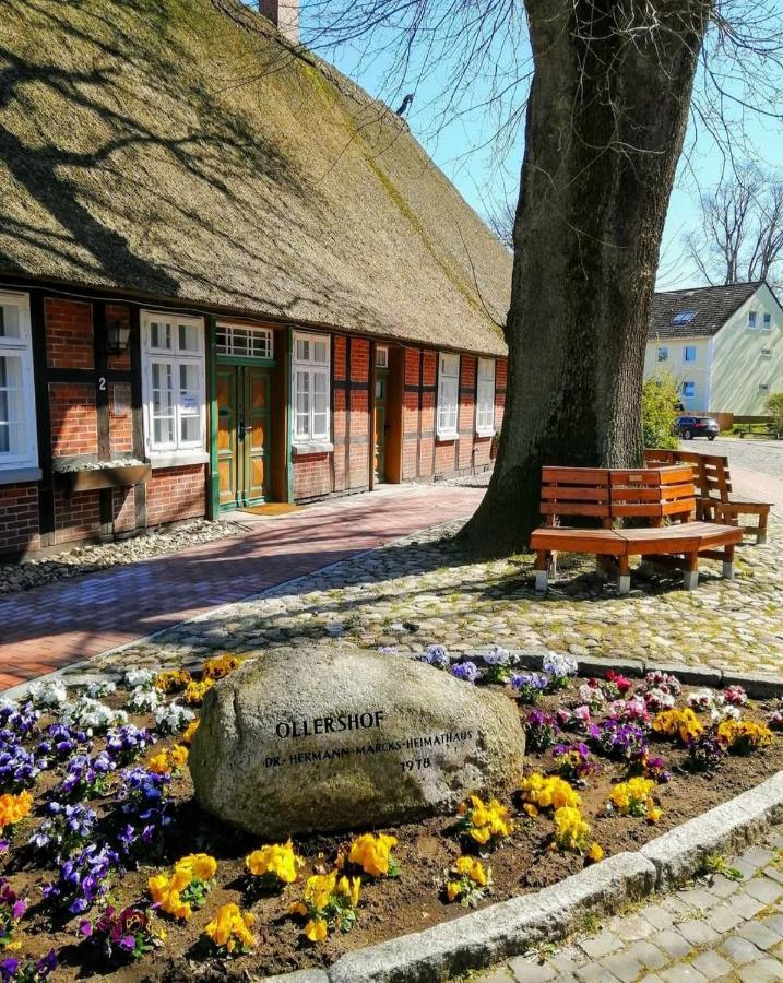 Hotel Kaiserhof Munster im Heidekreis Dış mekan fotoğraf